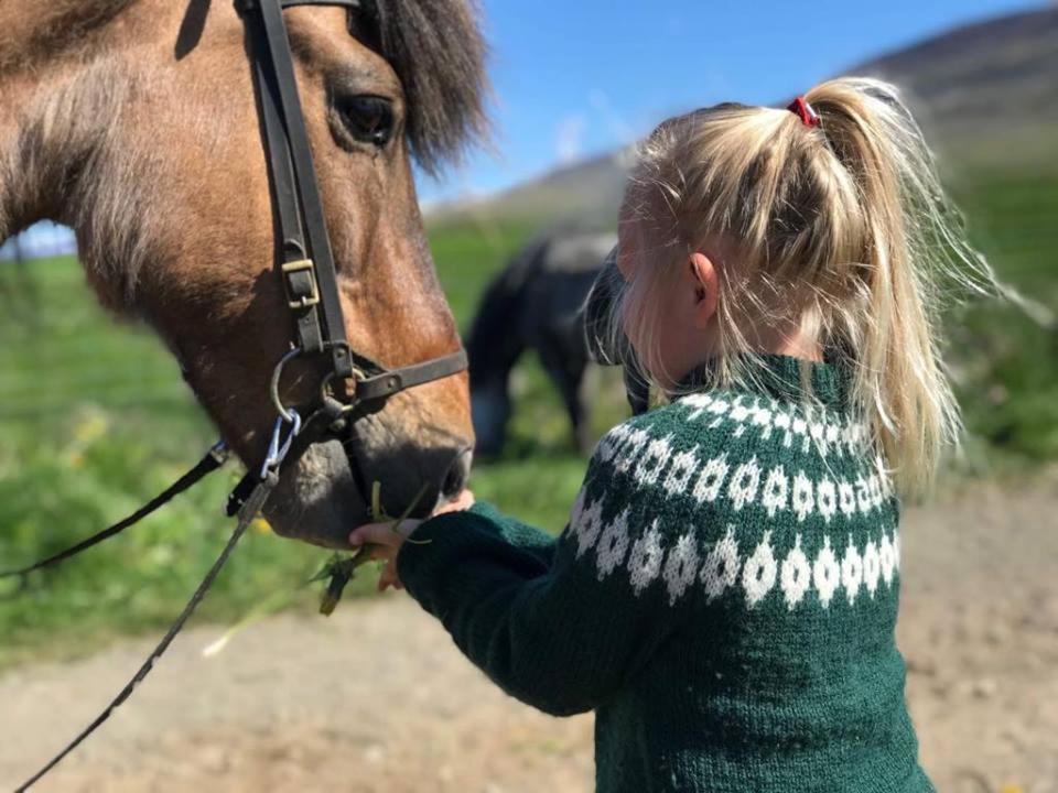 Syðra-Skörðugil Guesthouse Varmahlíð Exteriör bild